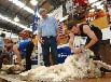 Royal New Zealand Show