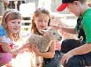 Royal New Zealand Show