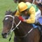 $1 Million Magic NZ 2000 Guineas Day