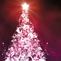 A Christmas Cracker