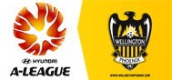 WELLINGTON PHOENIX FC HOME SEASON 2010/11